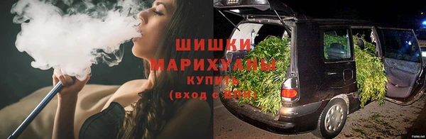 гидра Аркадак