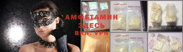 шишки Арсеньев