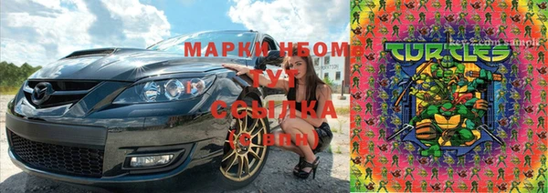 шишки Арсеньев