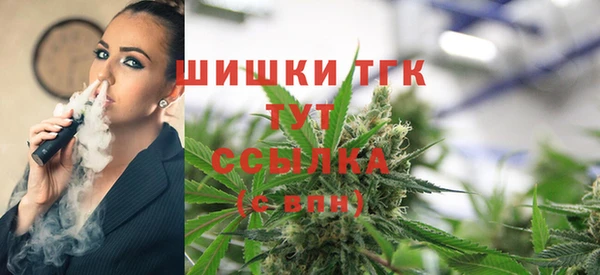 твердый Пересвет
