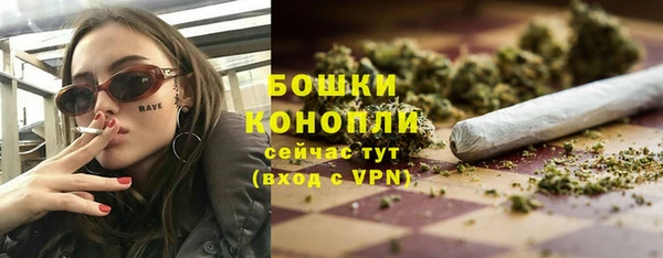 шишки Арсеньев