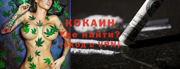 шишки Арсеньев